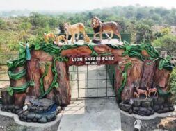 Lion safari park, Rajkot