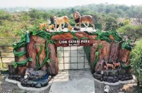 Lion safari park, Rajkot