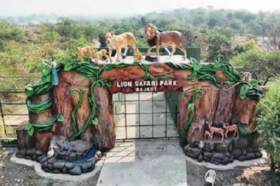 Lion safari park, Rajkot