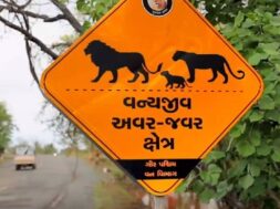 Road