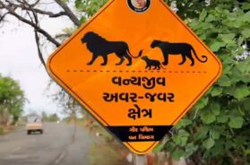 Road