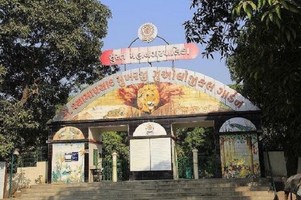 સુરતઃ સરથાણા ઓપન ઝૂમાં એક જ વર્ષમાં 9.50 લાખ લોકોએ મુલાકાત લીધી
