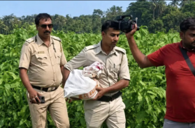 TMC RAID
