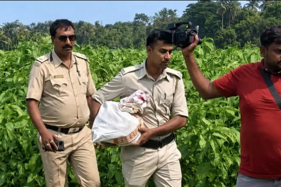 TMC RAID