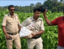 TMC RAID