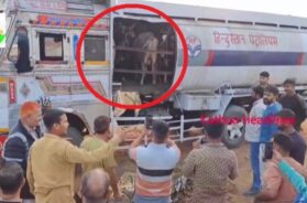 Cow theft exposed in tanker marked Hindustan Petroleum