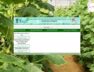 iKhedut Portal 2.0 launched for horticulture schemes in Banaskantha district