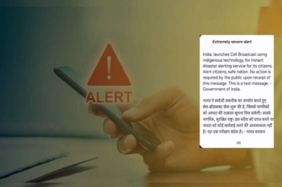 alert