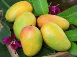 mango