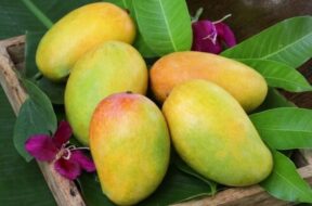 mango