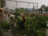 rain