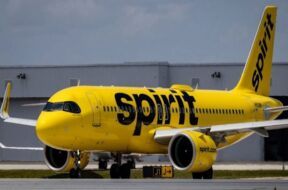 spirit