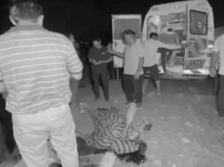 Accident, Baroda