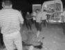 Accident, Baroda