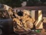 Accident, Dhandhuka