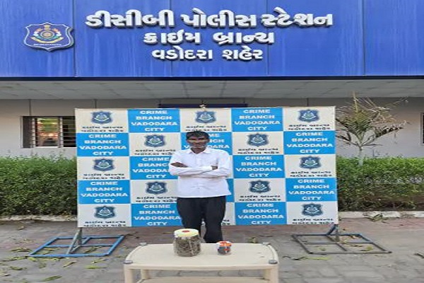 વડોદરામાં ક્રાઈમ બ્રાન્ચે દરોડો પાડીને ગાંજાના જથ્થા સાથે બે શખસોને ઝડપી લીધા