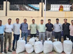 Baroda, marijuana seized