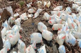 Milk packets
