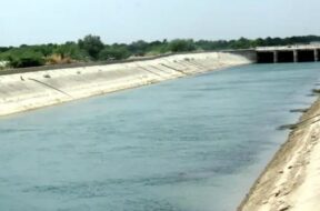 Narmada canal