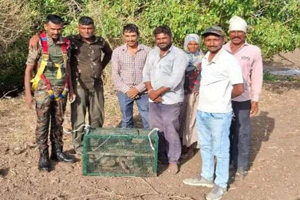 રાજકોટના લોઠડા ગામના ઊંડા કૂવામાં પડેલા શિયાળના બચ્ચાનું રેસ્ક્યુ કરાયું