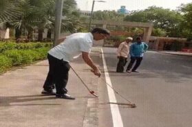 Snake rescue, Gandhinagar