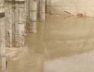 Surendranagar. water TDS
