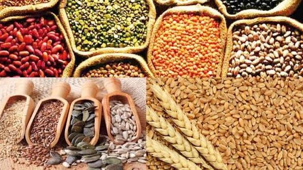 ગુજરાત સહિત 4 રાજ્યોમાં MSP પર કઠોળ-તેલીબિયાંની બમ્પર ખરીદીને કેન્દ્રની મંજૂરી