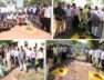 A pledge for a greener future: World Environment Day celebrated grandly in Aravalli-Sabarkantha