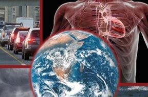 Biometeorology is the relationship between weather and the body.