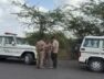 lion hunted the young man