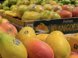 mango