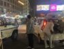 police checking, AHD