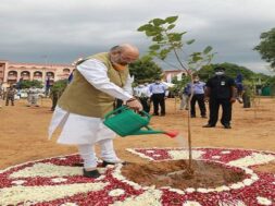 Amit shah, tree plantation