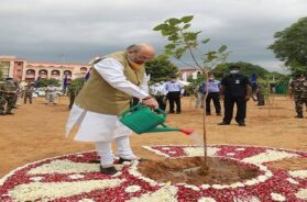 Amit shah, tree plantation