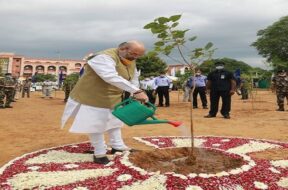 Amit shah, tree plantation