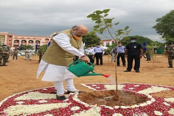 Amit shah, tree plantation