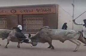 Bhuj, Bullfight