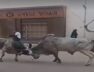 Bhuj, Bullfight