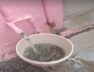 Contaminated water