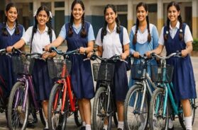 Delhi gov