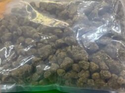Drugs seized