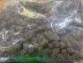 Drugs seized
