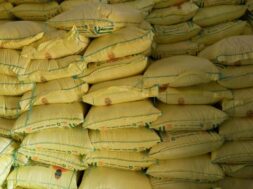 Urea Investment Policy-2026