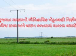 Gujarat government’s historic decision regarding electricity tower and line compensation