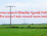 Gujarat government’s historic decision regarding electricity tower and line compensation