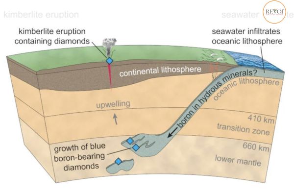 Termites discovered a diamond mine worth billions of dollars
