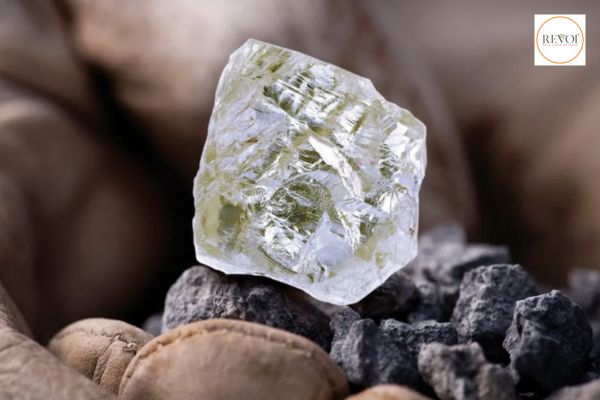 Termites discovered a diamond mine worth billions of dollars