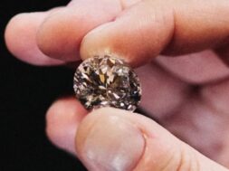 Termites discovered a diamond mine worth billions of dollars