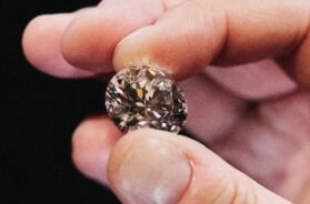 Termites discovered a diamond mine worth billions of dollars