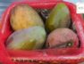 A Gujarat businessman bought a kilo of mango worth Rs 3.50 lakh from Uttar Pradesh for Rs 2.11 lakh after discount
